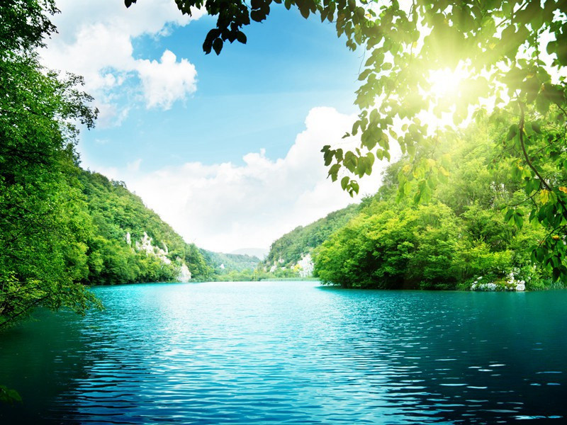 平托上校的故事-间谍的秘密行动