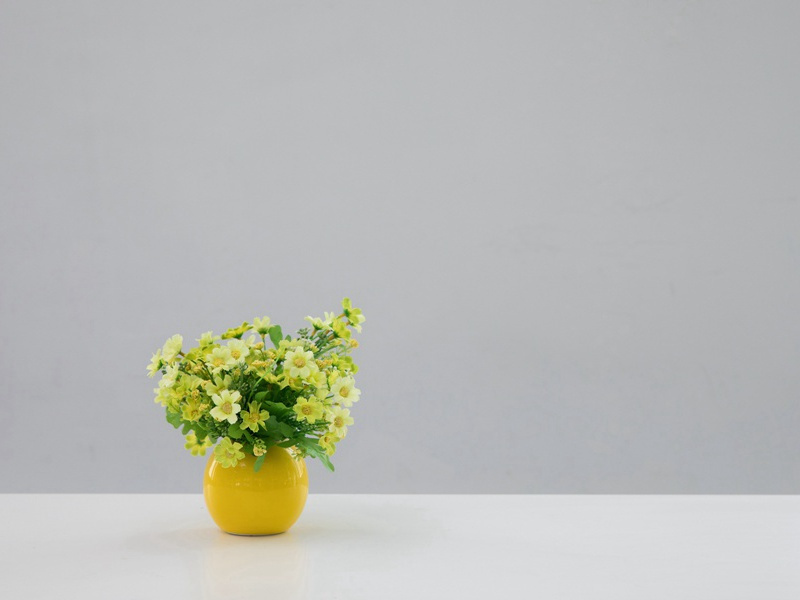 “沙漠之狐”的失败-间谍的秘密行动