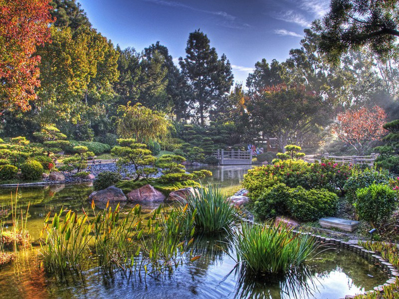 “肉馅”计划-间谍的秘密行动