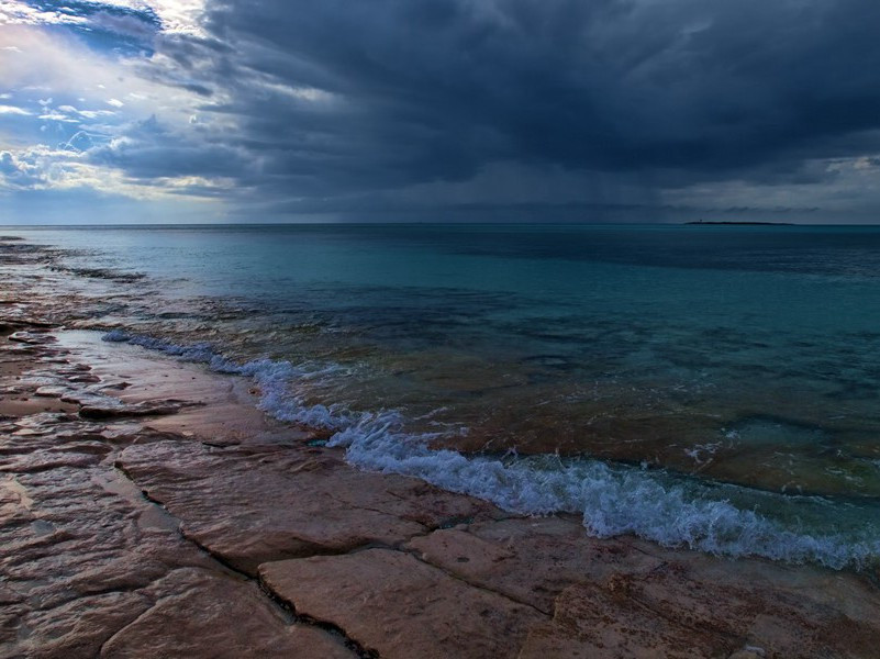 “黑色乐队”的最后一击-绝秘文件