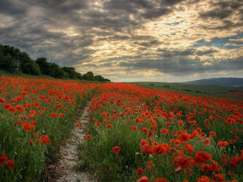 巧窃图式喷气发动机-绝秘文件