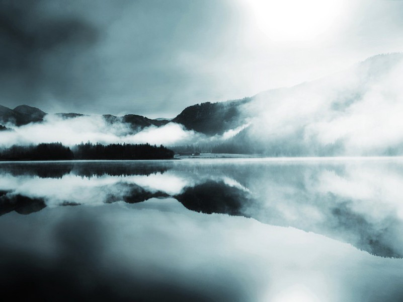 阿弗雷在行动-绝秘文件