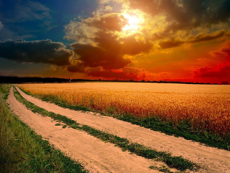 医科学生的处女作-萨默塞特.毛姆