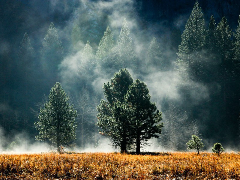 邱吉尔的警告-萨默塞特.毛姆