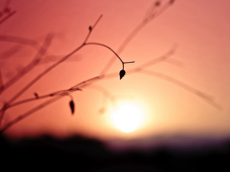 西伯利亚快车-萨默塞特.毛姆