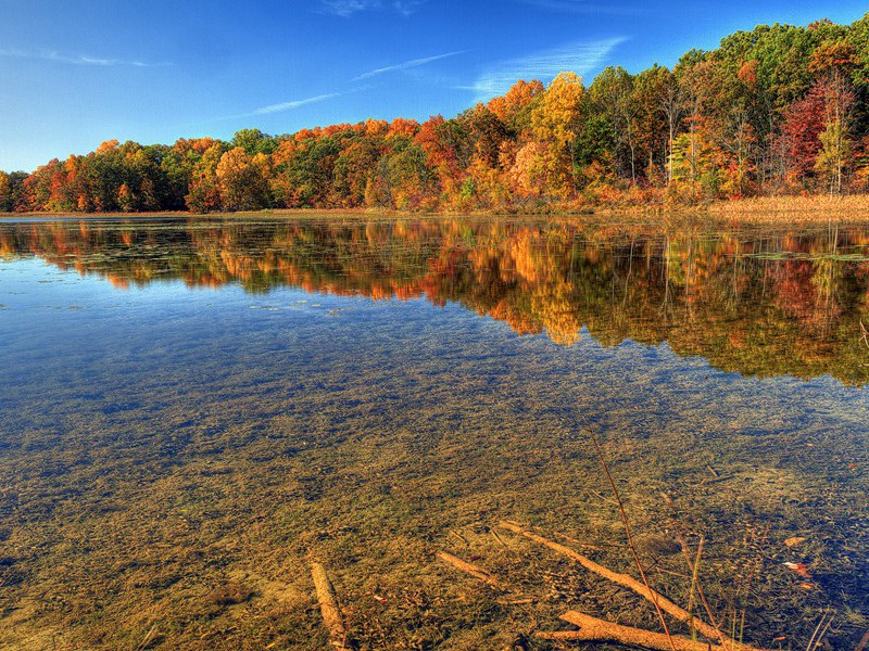 舆论大战-萨默塞特.毛姆