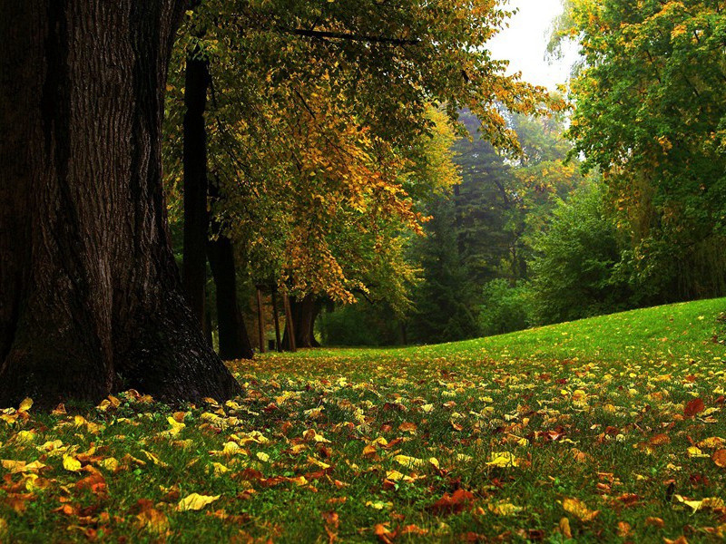 闯荡南非-约翰.巴肯