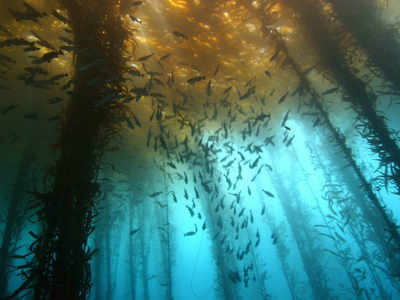 青云直上-约翰.巴肯