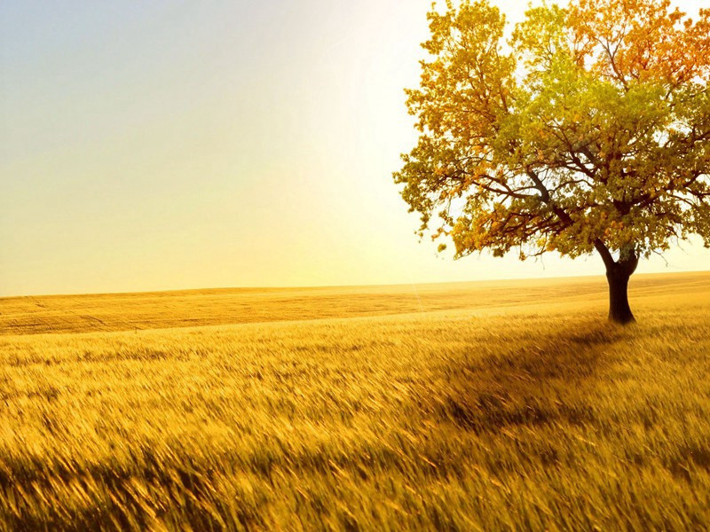 有其父必有其子-约翰.勒卡雷