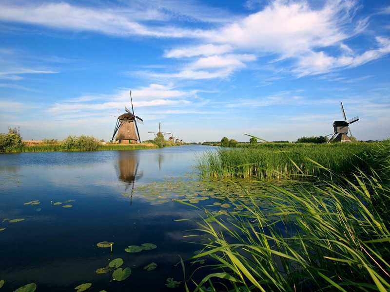 天才间谍-约翰.勒卡雷