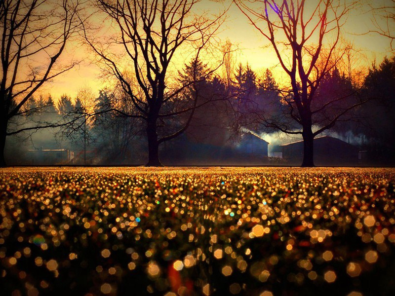 发疯的世界-约翰.勒卡雷