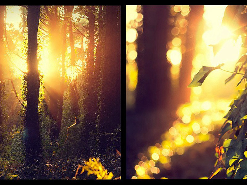 罗尼阴魂不散-约翰.勒卡雷