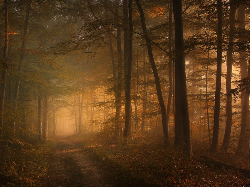 电视连续剧引起的风波-约翰.勒卡雷