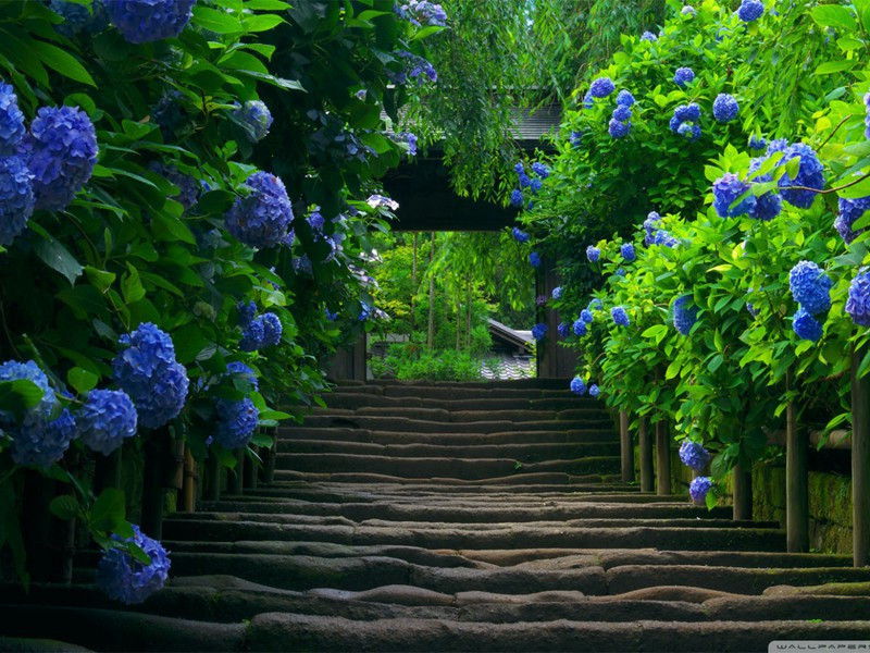 “卖国贼”的儿子-格雷厄姆.格林