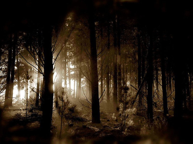 两面人-格雷厄姆.格林