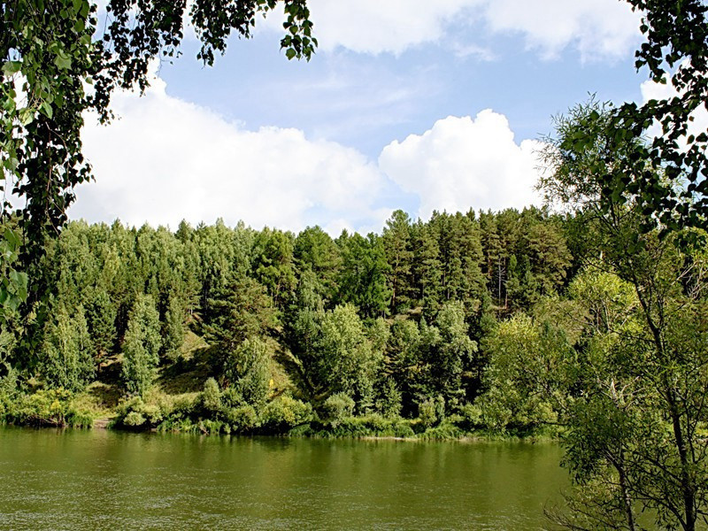 假情报-格雷厄姆.格林