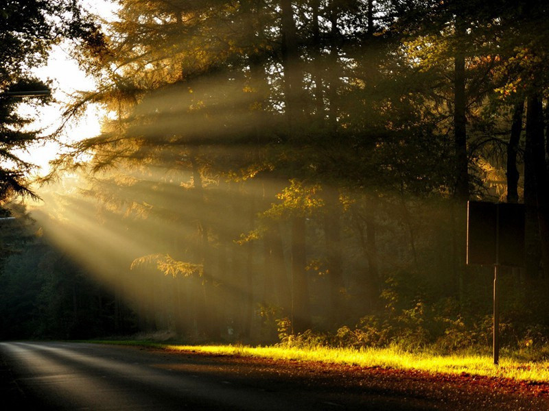 如何使“威尔逊”离开阳台-格雷厄姆.格林