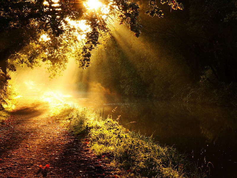 维也纳“谍影”-格雷厄姆.格林