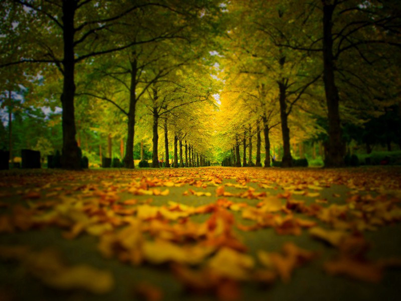 真假间谋-约翰.宾厄姆