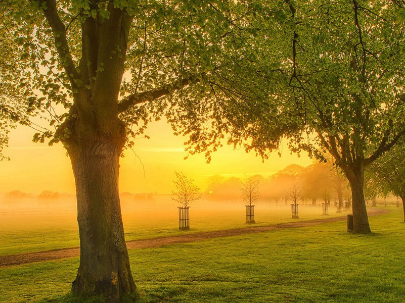 詹姆斯.邦德的“老板”-约翰.宾厄姆