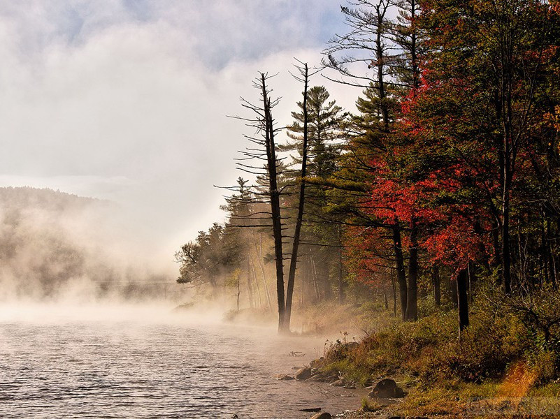 夫唱妇随-约翰.宾厄姆