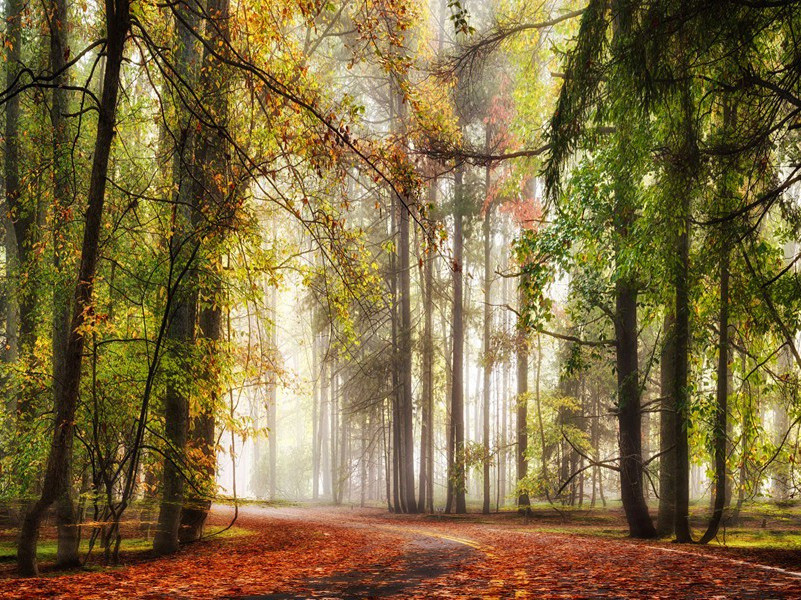 突击搜查-约翰.宾厄姆