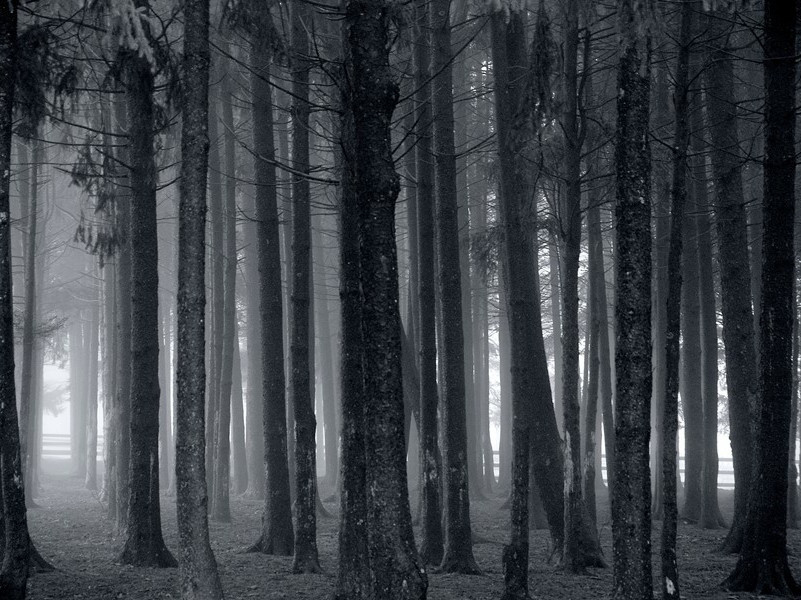 英国人的弱点-约翰.宾厄姆