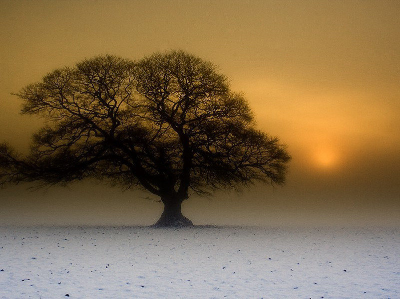 俄国寻梦-马尔科姆.莫格里奇