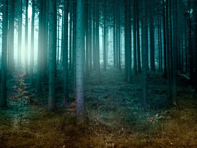 艾恩赛德将军被撤职-马尔科姆.莫格里奇