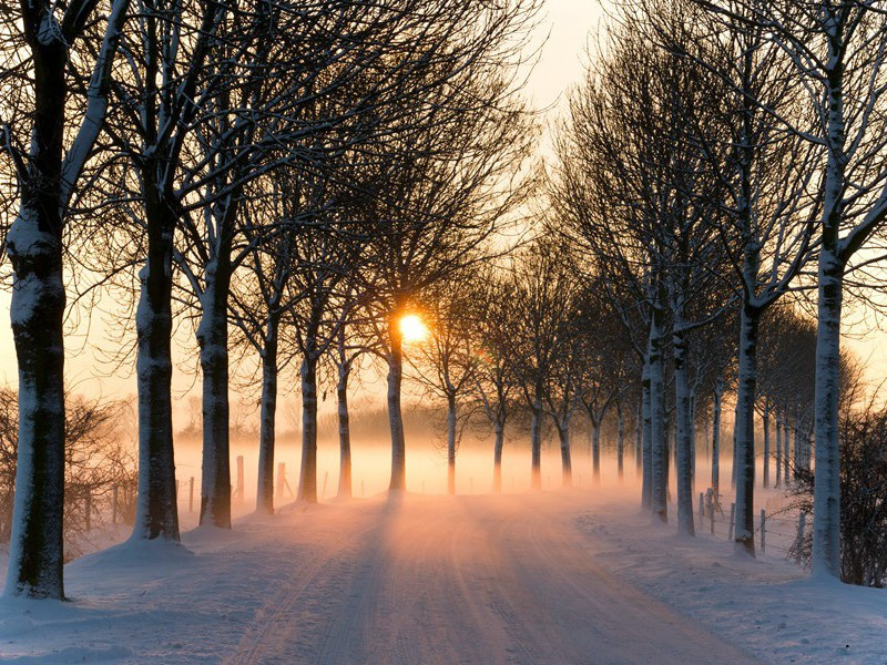 非同寻常的审判-马尔科姆.莫格里奇