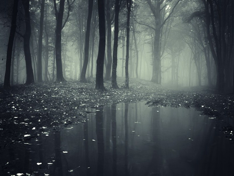 “BS”密写材料-马尔科姆.莫格里奇