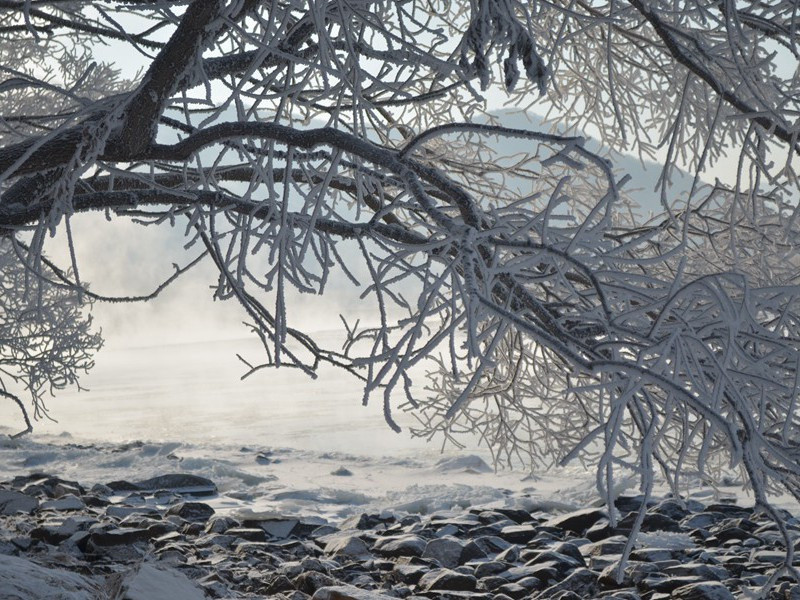 旅馆谍影-马尔科姆.莫格里奇