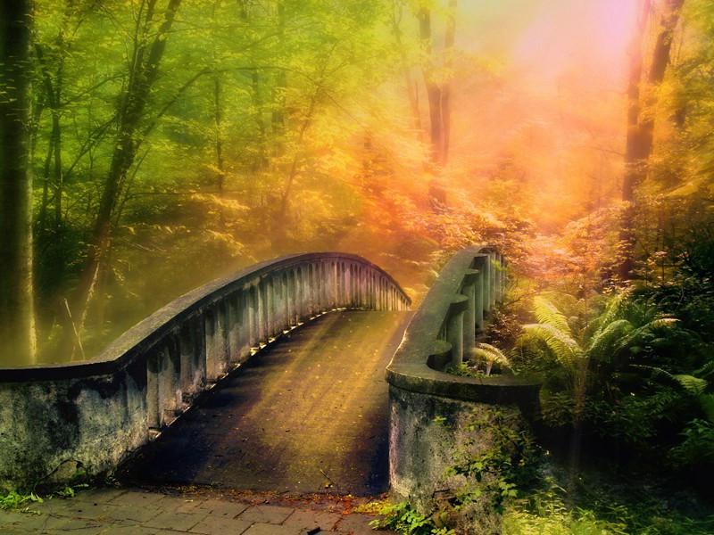 被收买的巡官-马尔科姆.莫格里奇