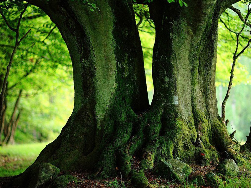 智取德国潜艇-马尔科姆.莫格里奇