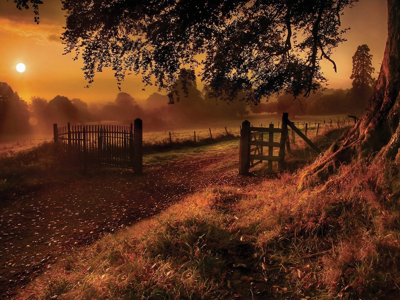 自杀未遂-马尔科姆.莫格里奇