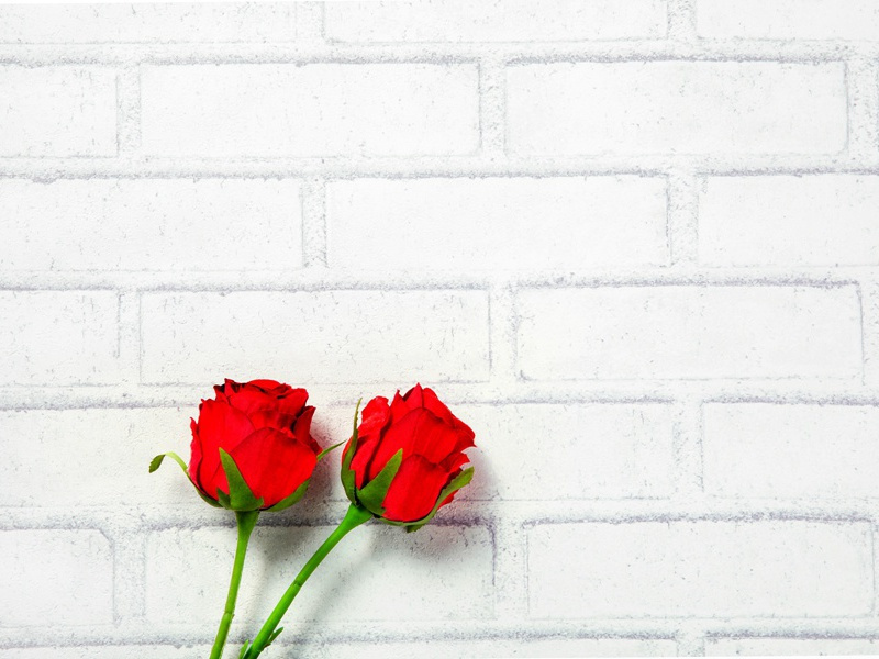 希腊事变-康普顿.麦肯齐