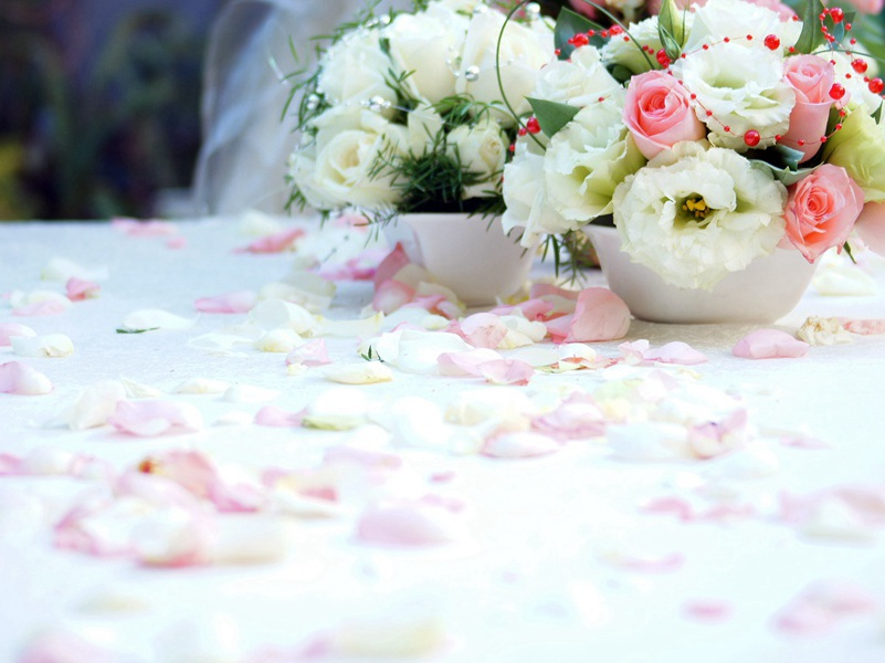 勾心斗角-康普顿.麦肯齐