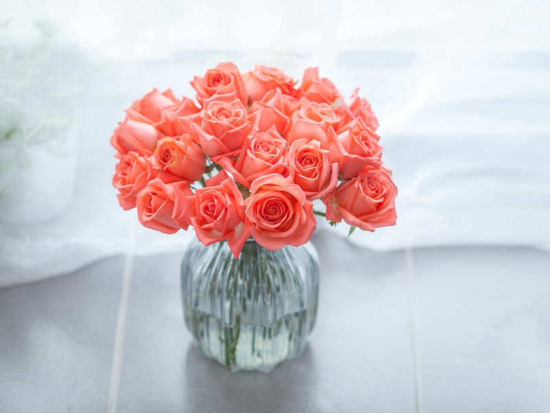 倾家荡产-康普顿.麦肯齐