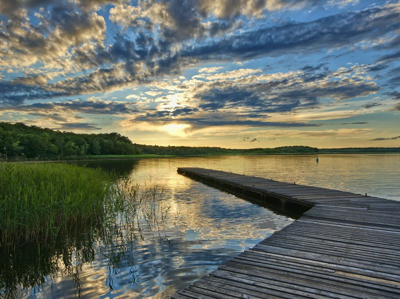 “双重的叛徒”-厄斯金.奇尔德斯