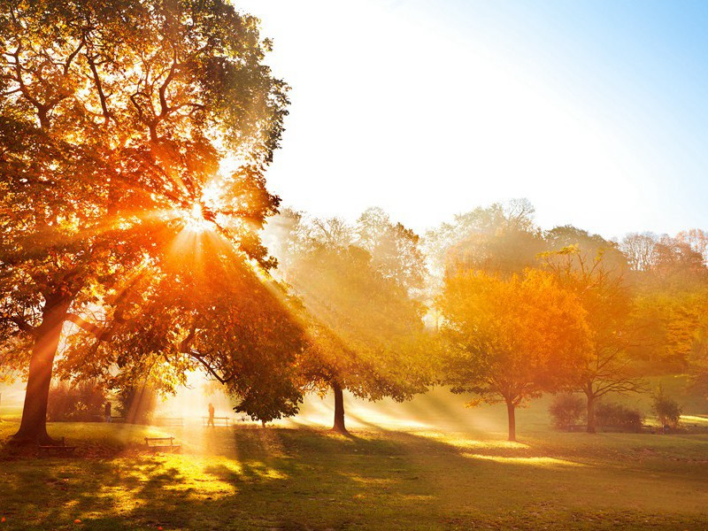 临刑-厄斯金.奇尔德斯