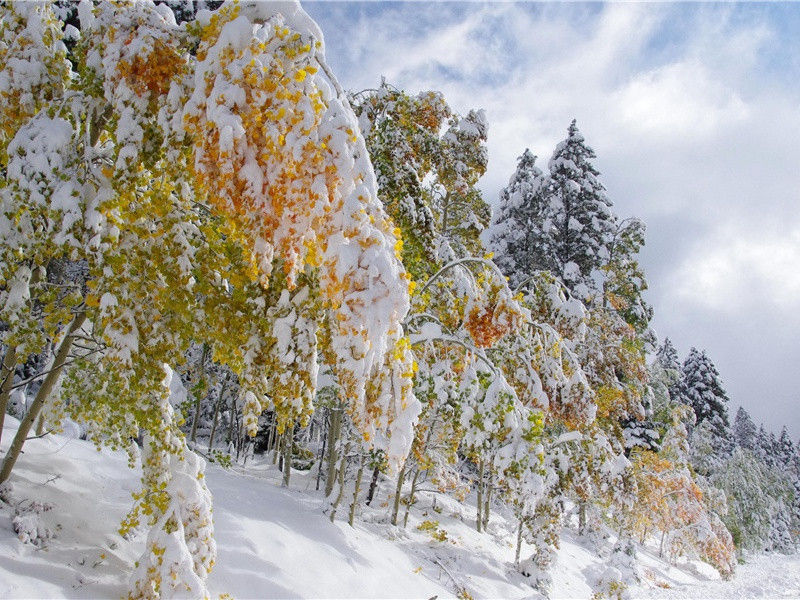 敦煌藏经洞之谜-抒不尽的神秘文化