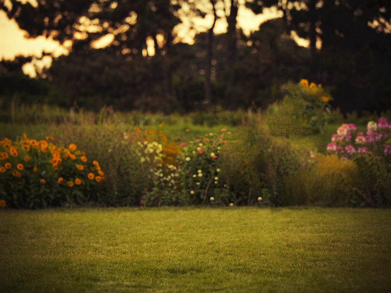 斯大林谢绝采访-伊恩.伊莱明