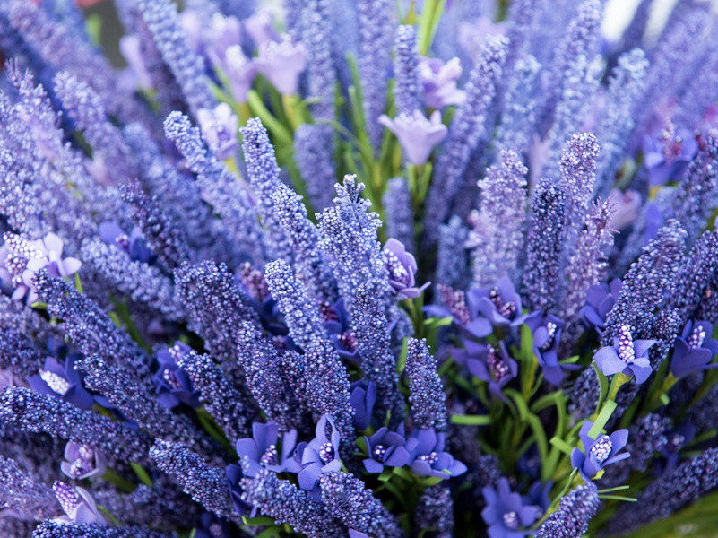 最差劲的证券经记人-伊恩.伊莱明