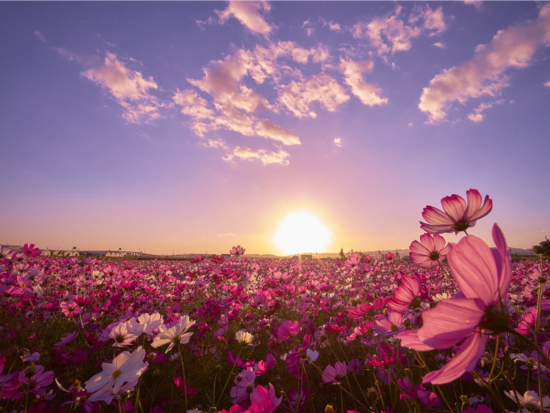 美洲金字塔-抒不尽的神秘文化