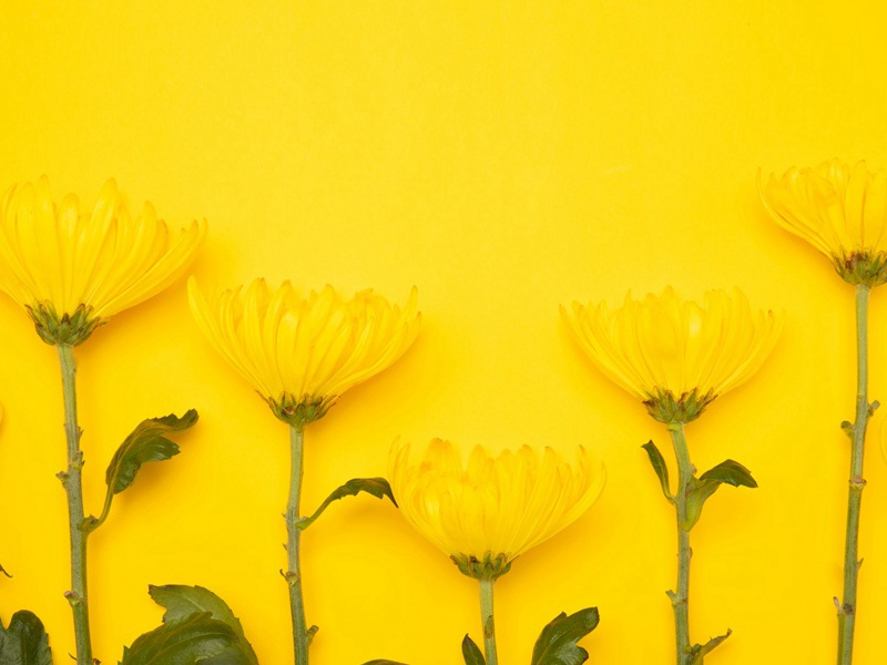 从“金眼”别墅里走出来的“邦德”-伊恩.伊莱明