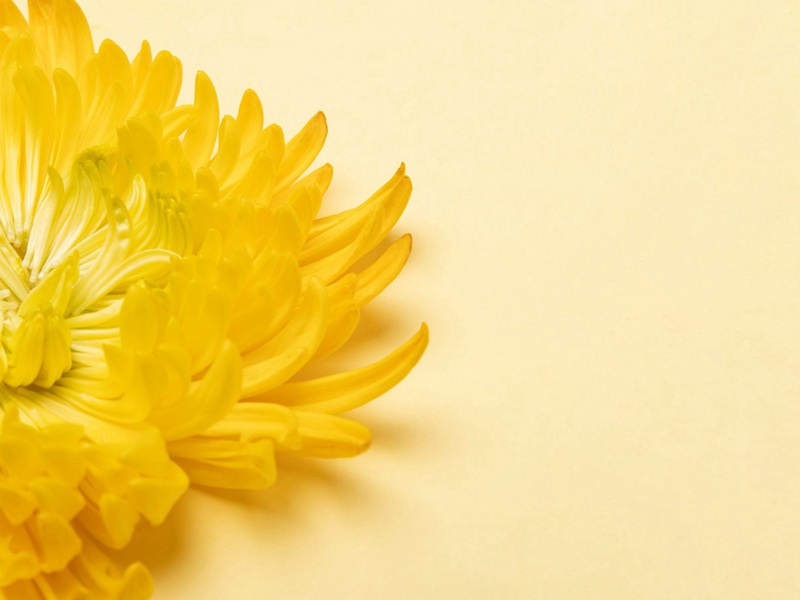 撒切尔夫人的指责-汤姆.德莱