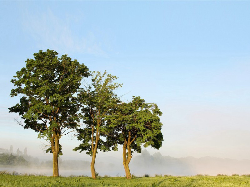 靠吸毒生活-汤姆.德莱