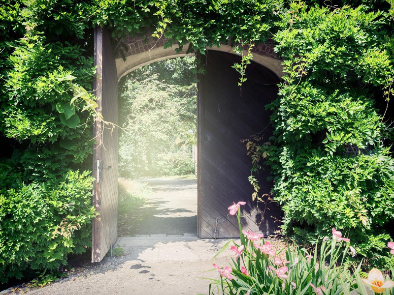 “梅奥”号驱逐舰上的中尉-霍华德.亨利