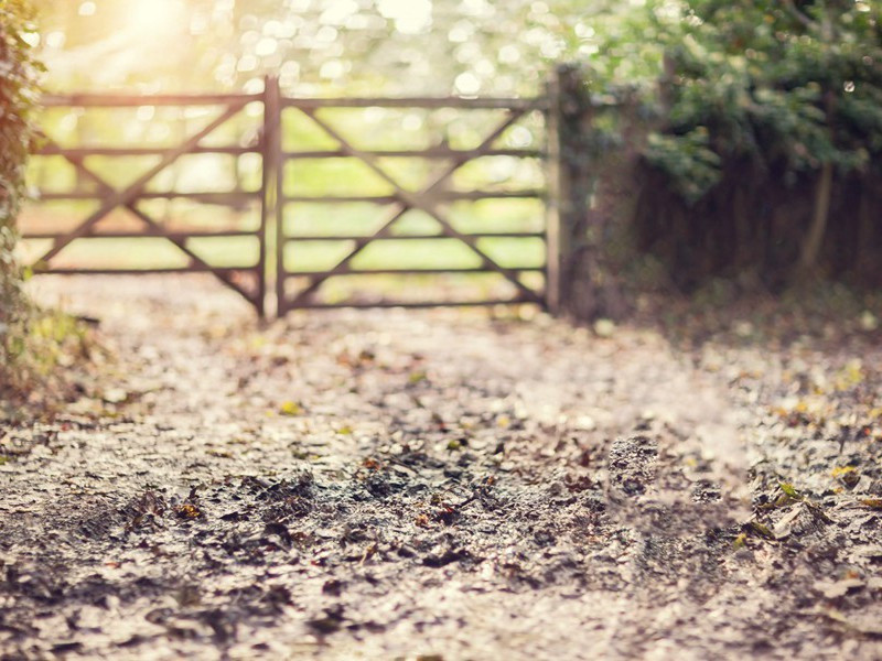 在杜勒斯麾下-霍华德.亨利