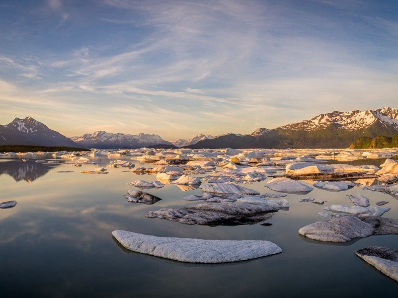 圈套-丹尼斯.惠特利